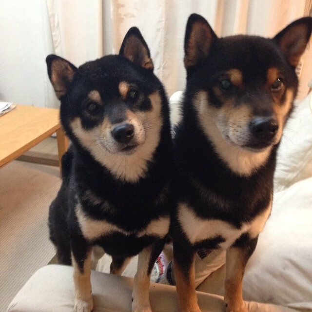 草根英雄掀翻豪门，霍勒迪39分神迹，骑士王朝轰然崩塌