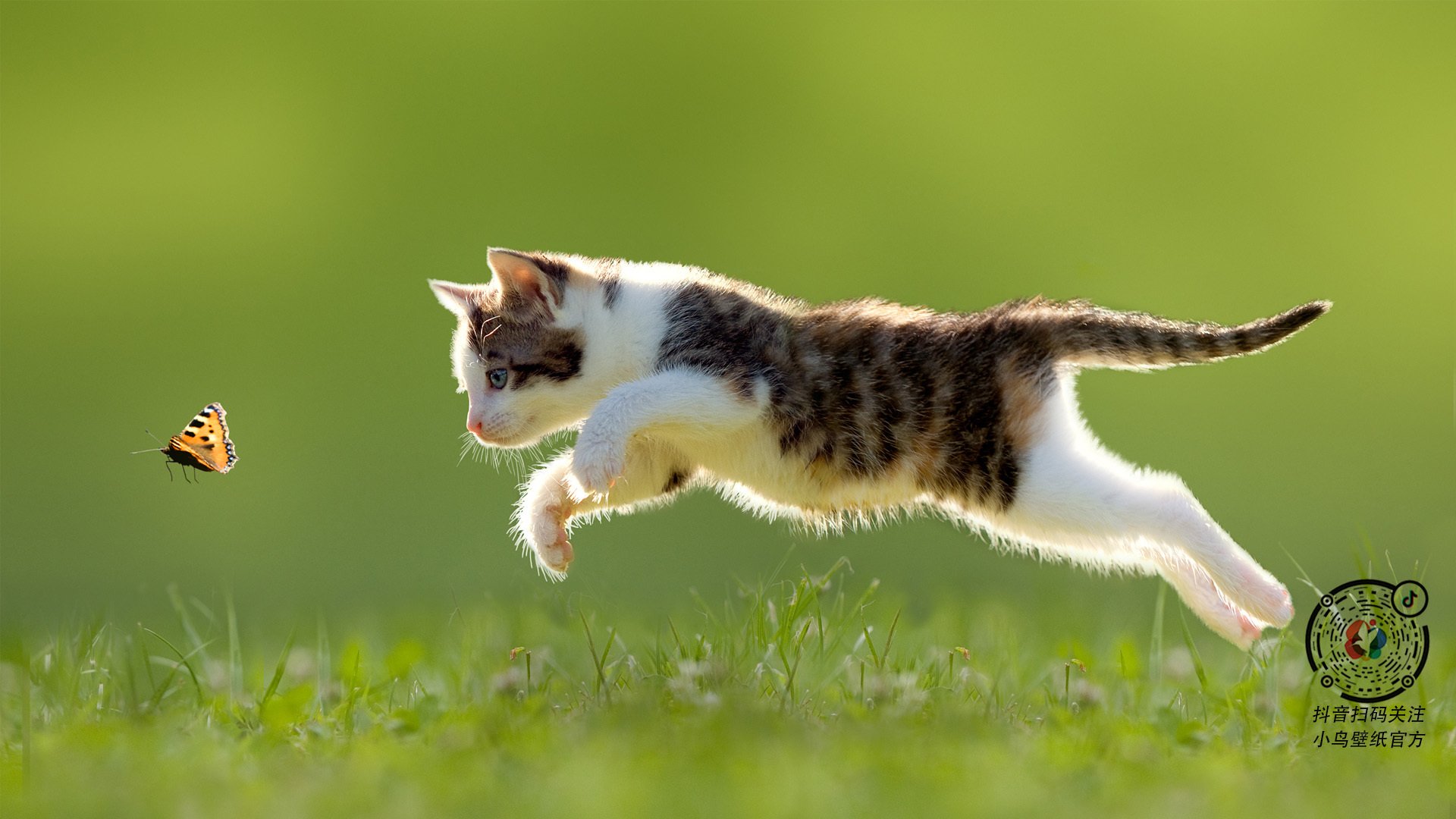 卡拉斯科赛后评分拉满！拉齐奥力克马赛的关键先生