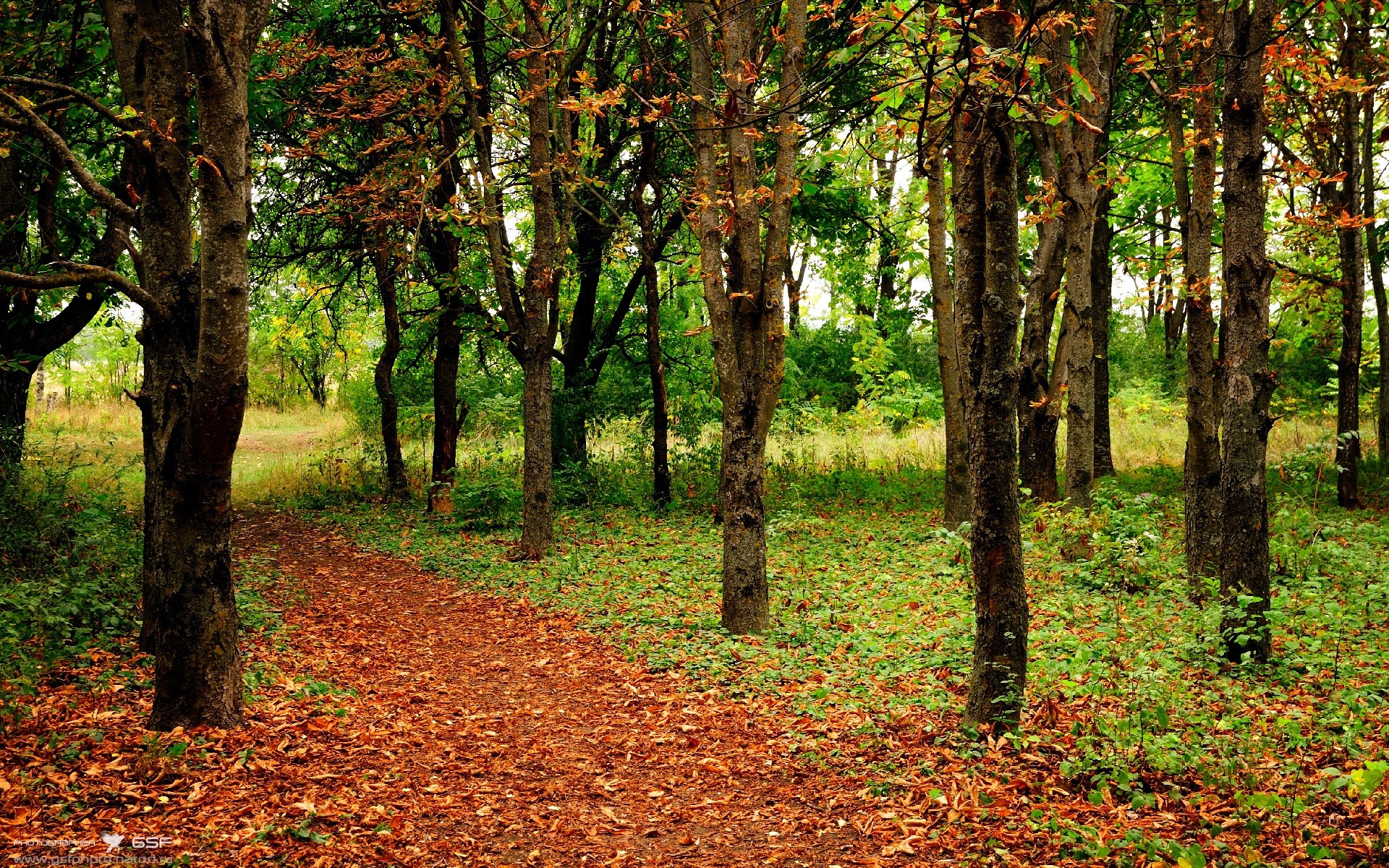 午夜引擎与无解方程式，当哈登在F1街道赛之夜接管比赛