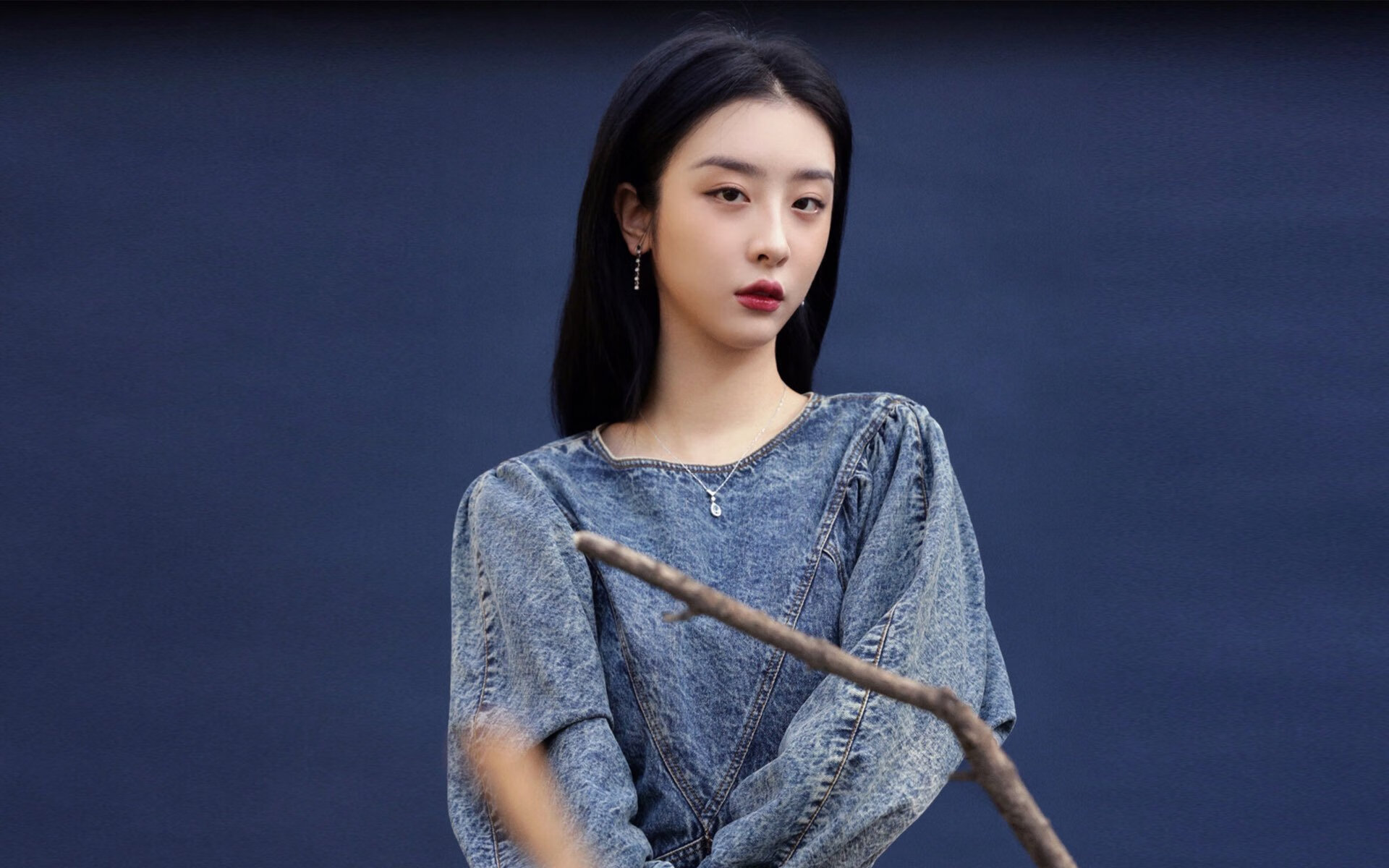 玫瑰谷的黑色风暴,当加维在索菲亚书写保加利亚奇迹